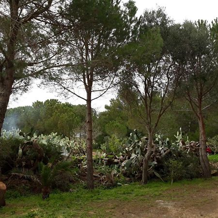 Casa Nicoletta Villa Isola di Ustica ภายนอก รูปภาพ