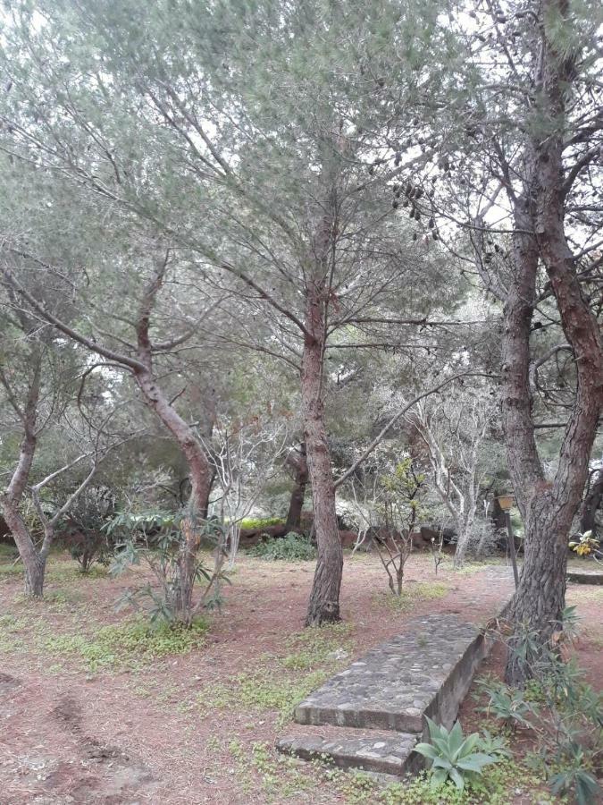 Casa Nicoletta Villa Isola di Ustica ภายนอก รูปภาพ