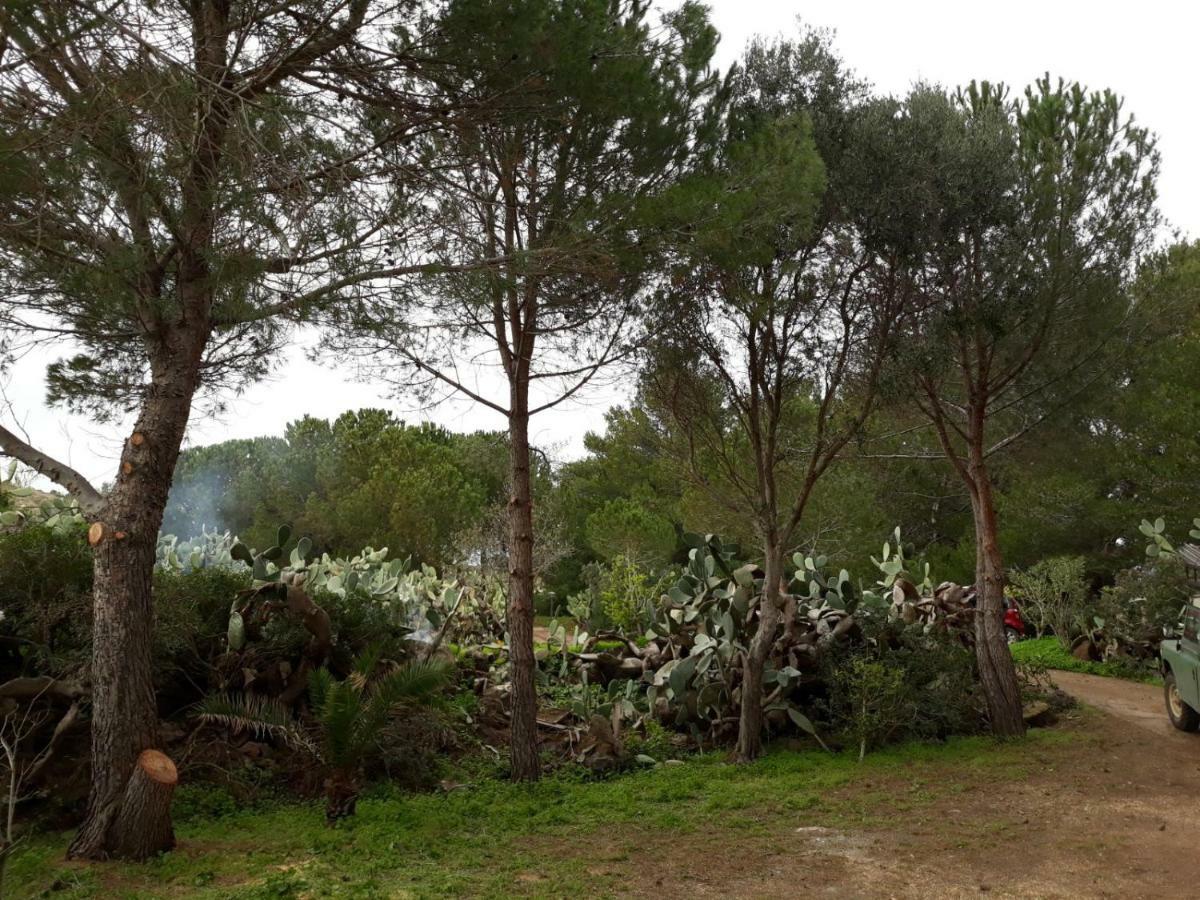 Casa Nicoletta Villa Isola di Ustica ภายนอก รูปภาพ